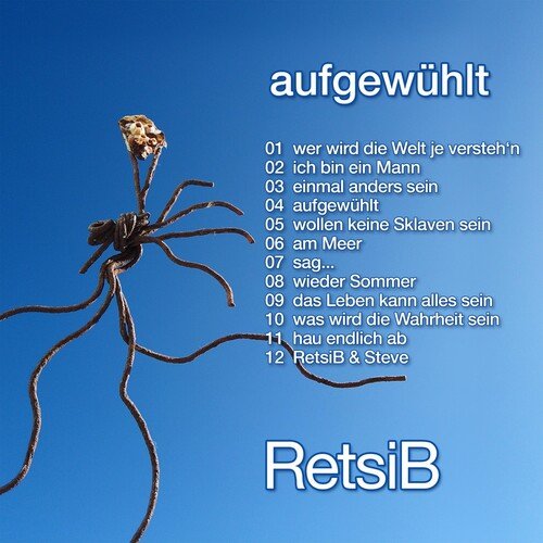 Retsib & Steve cover art