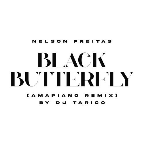 Black Butterfly (Amapiano Remix)_poster_image