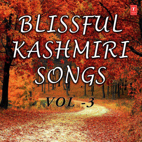 Blissful Kashmiri Songs Vol-3