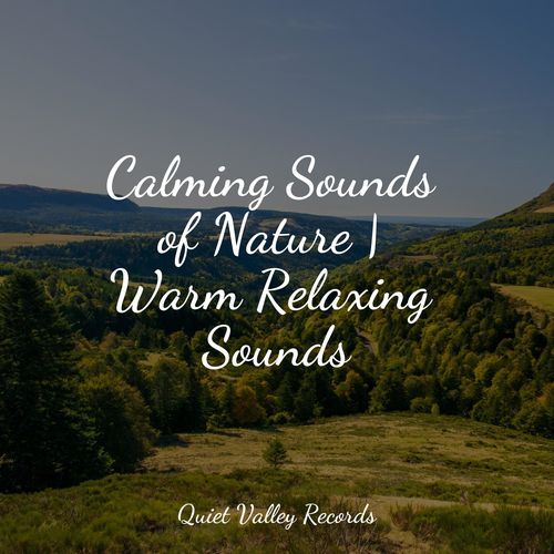Lazy Morning cover art