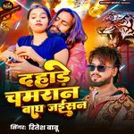 Dahade Chamaran Bagh Jaisan