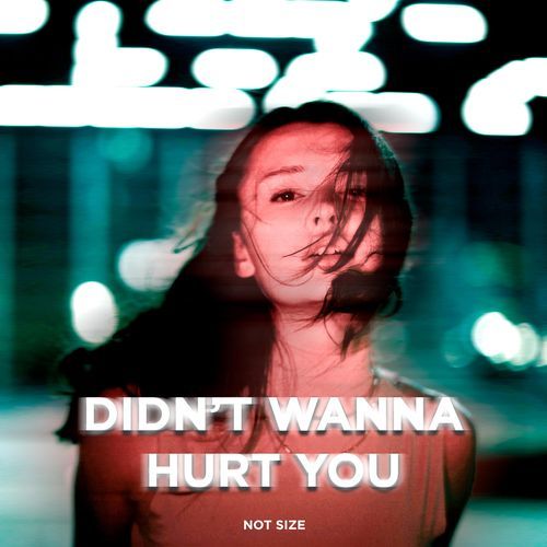 Didn’t Wanna Hurt You