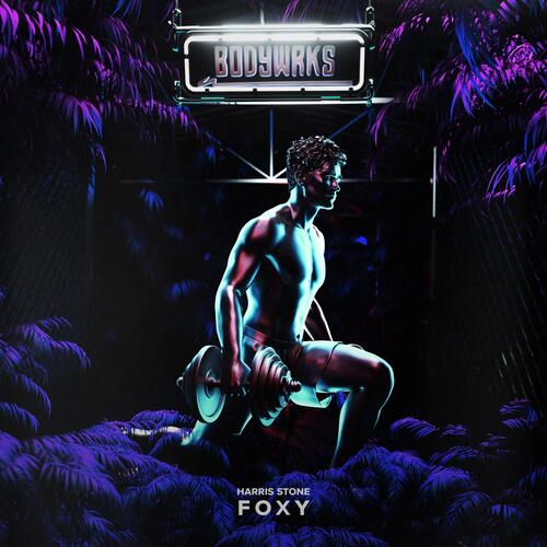 Foxy  (Extended Mix) cover art