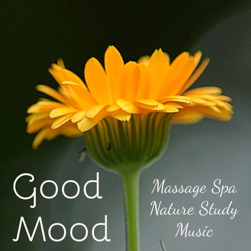 The Beauty Room Song Download From Good Mood Massage Spa Nature Study Music For Sleep Remedies Brain Stimulation With New Age Instrumental Sounds Jiosaavn