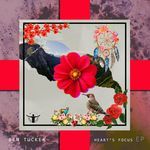 Heart's Focus (Original mix)