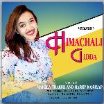 Himachali Gidda Mix Mashup