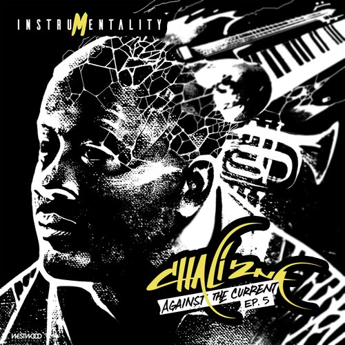 Citizen Cope (Interlude) cover art