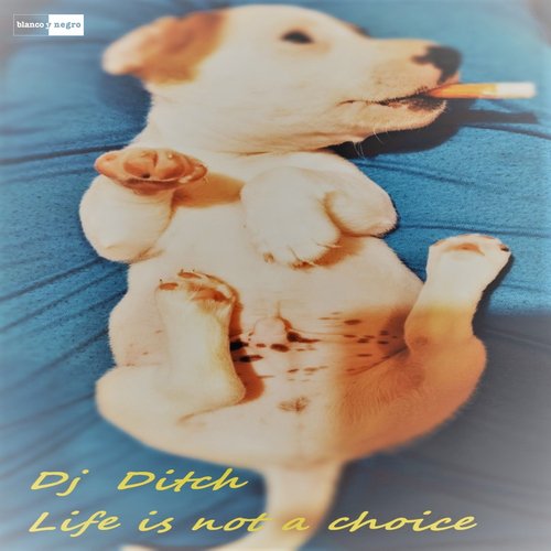 Life is Not a Choice_poster_image