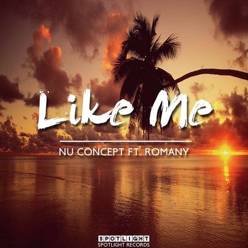 Like Me (Remixes)_poster_image