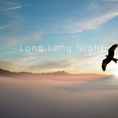 Long Long Night_poster_image