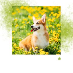 Calme Détente Inattendue du Vent