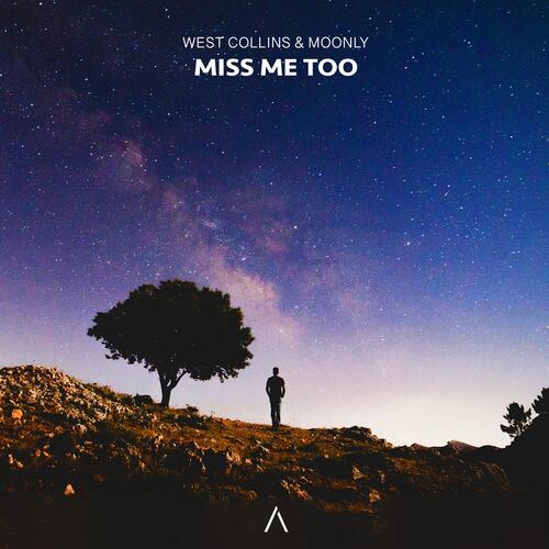 Miss Me Too_poster_image