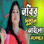 Nobir Dullal Ailo Joleshore