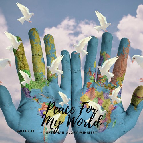 Peace For My World (Radio)_poster_image