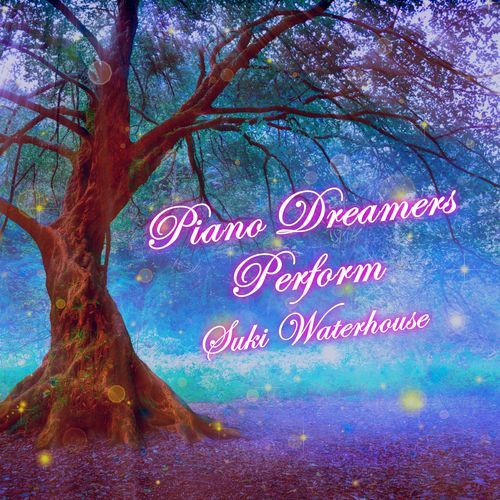 Piano Dreamers Perform Suki Waterhouse (Instrumental)