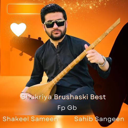 Shukriya Brushaski Best