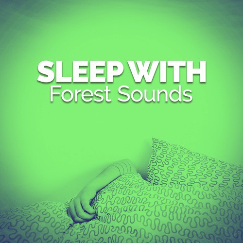 Sleep with Forest Sounds