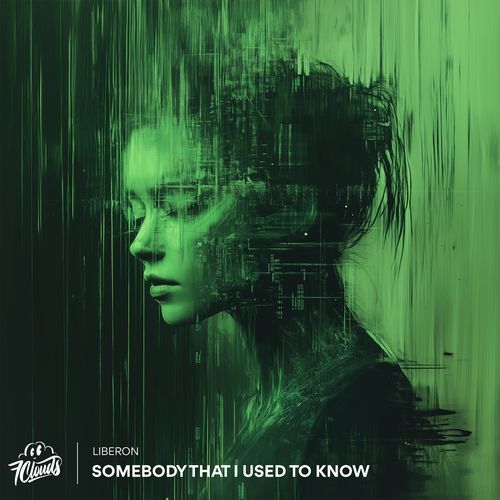 Somebody That I Used to Know