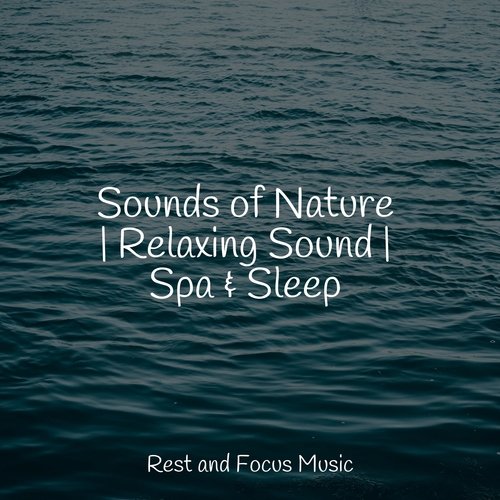 Sounds of Nature | Relaxing Sound | Spa &amp; Sleep_poster_image