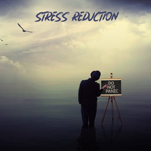 Stress Reduction (Soothing Binaural Beats)