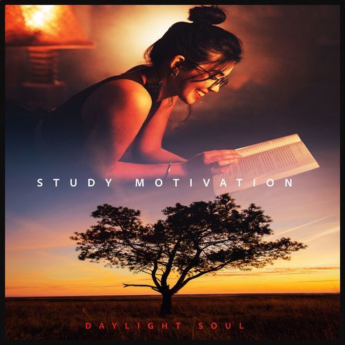 Study Motivation