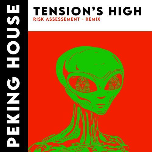 Tension's High (Risk Assessment Remix)