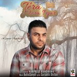 Tera Mera Pyar