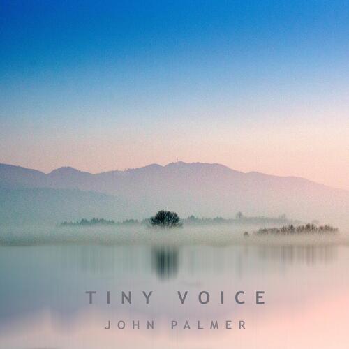 Tiny Voice