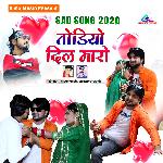 Todiyo Dil Maro (Hindi)