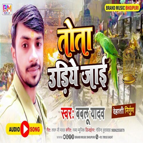 Tota Udiye jai
