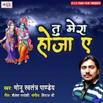 Tu Mera Ho Jaye