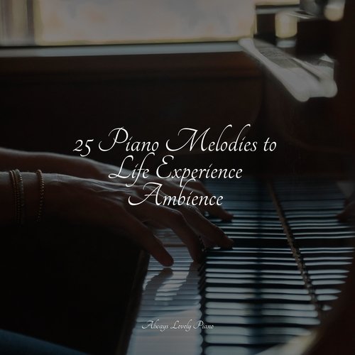 25 Piano Melodies to Life Experience Ambience