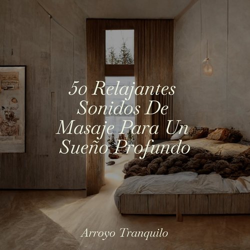 Pereza Al Atardecer cover art