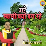 Are Svami Kyo Ban Rahe