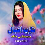 Badmashi Maka, Vol. 1313