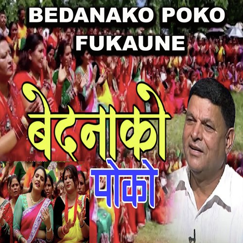 Bedanako Poko Fukaune