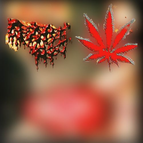 Hesh Prince + MC Chris cover art
