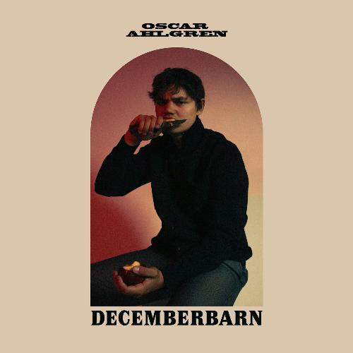 Decemberbarn_poster_image