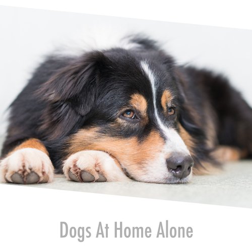 Eloquent Puppy Soothing Stress Buster cover art