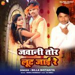 Jawani Tor Lut Jai Re