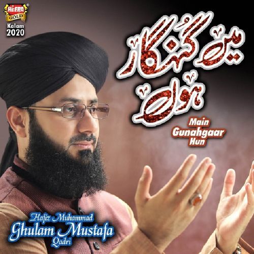 Main Gunahgaar Hun cover art