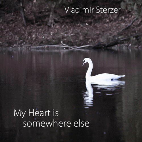 My Heart Is Somewhere Else (Symphonic Version)_poster_image