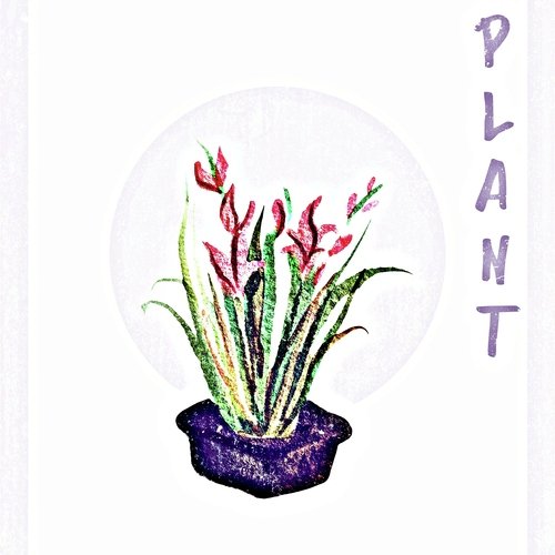 Plant cover art