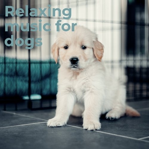Relaxing for Dogs cover art