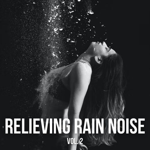 Relieving Rain Noise Vol. 2_poster_image