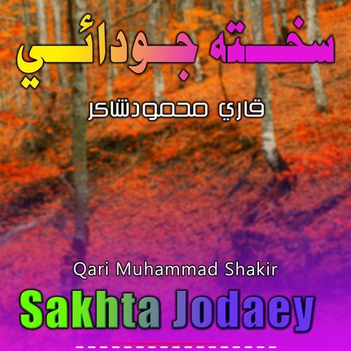 Sakhta Jodaey