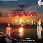 Shobha Sagar Shyam Tamari Murti Pyari Re