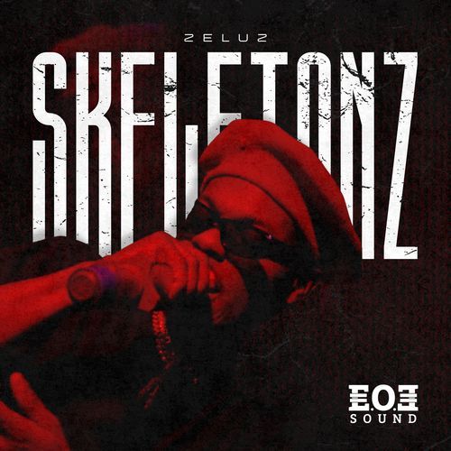 Skeletonz cover art