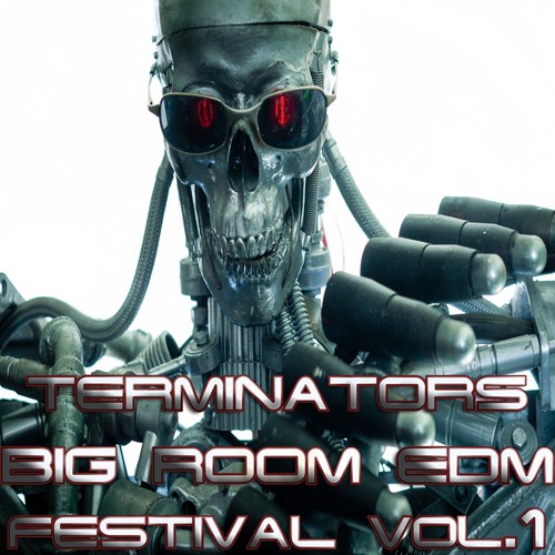 Terminators Big Room, EDM Festival Vol.1