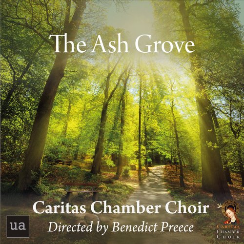 The Ash Grove_poster_image